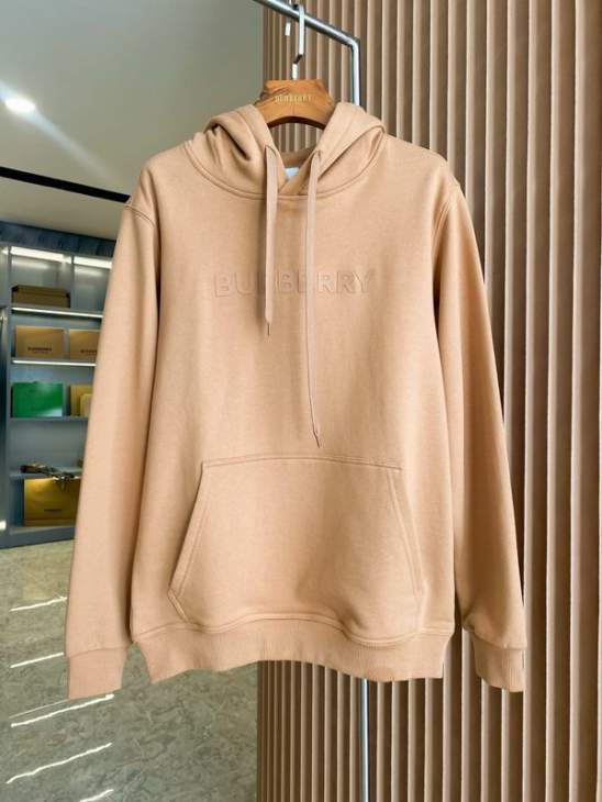 Picture of Burberry Hoodies _SKUBurberryS-2XLaztx85861824